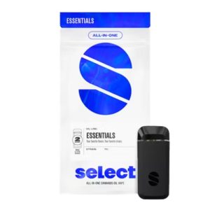 Buy Northern Lights Briq Disposable Pen